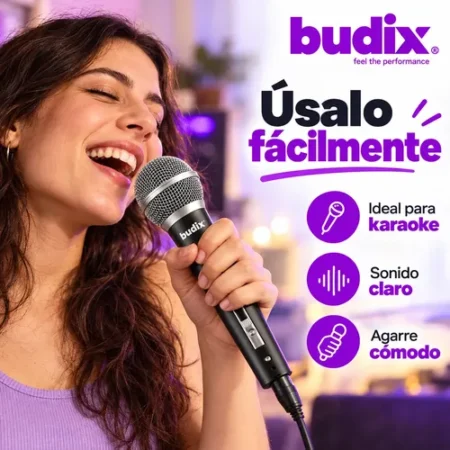 Micrófono Dinámico Con Cable 3 Metros Negro Budix